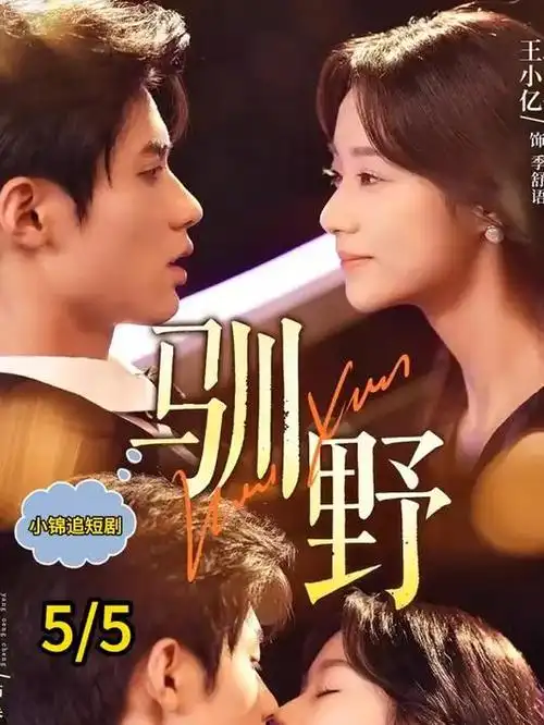 雾港追凶热播电视剧全集